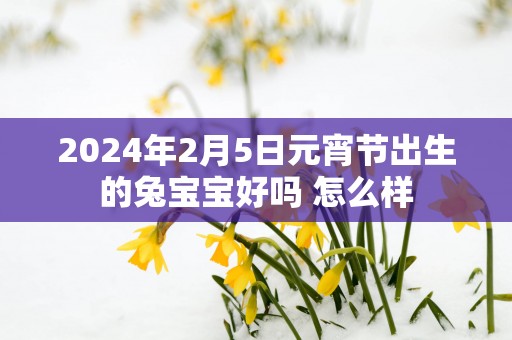 2025年2月5日元宵节出生的兔宝宝好吗 怎么样