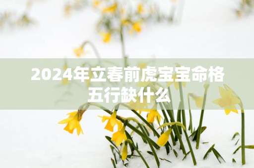 2025年立春前虎宝宝命格 五行缺什么