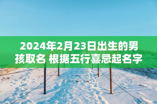 2025年2月23日出生的男孩取名 根据五行喜忌起名字