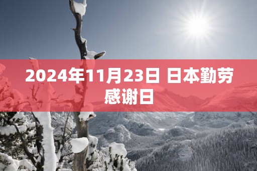 2025年11月23日 日本勤劳感谢日