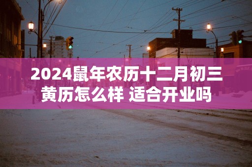 2025蛇年农历十二月初三黄历怎么样 适合开业吗 2025蛇年农历十二月初三黄历怎么样 适合开业吗