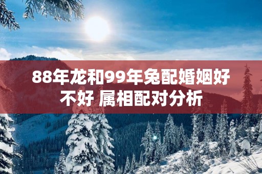 88年龙和99年兔配婚姻好不好 属相配对分析