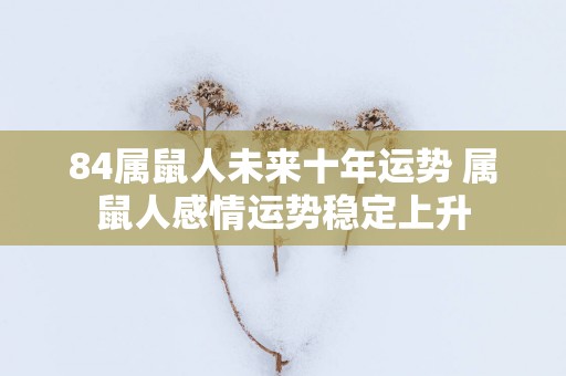 84属鼠人未来十年运势 属鼠人感情运势稳定上升
