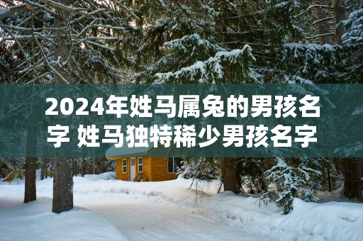 2025年姓马属兔的男孩名字 姓马独特稀少男孩名字
