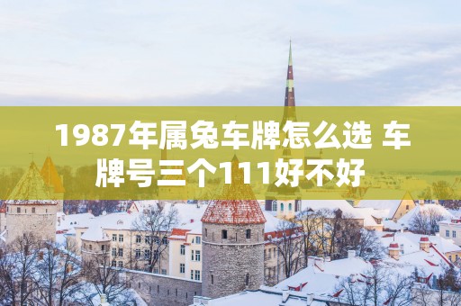 1987年属兔车牌怎么选 车牌号三个111好不好