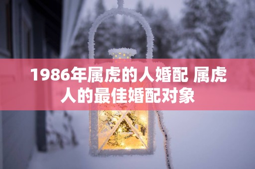 1986年属虎的人婚配 属虎人的最佳婚配对象