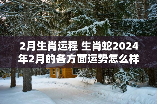 2月生肖运程 生肖蛇2025年2月的各方面运势怎么样