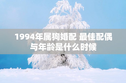 1994年属狗婚配 最佳配偶与年龄是什么时候