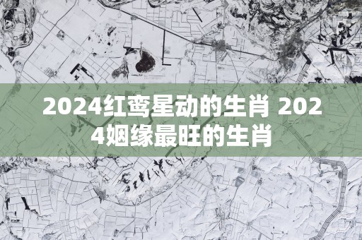 2025红鸾星动的生肖 2025姻缘最旺的生肖
