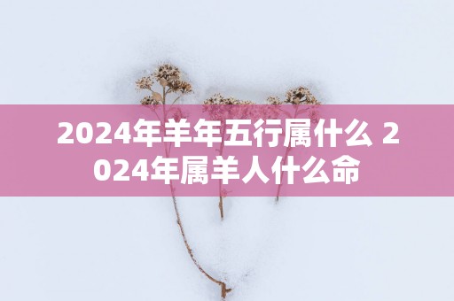 2025年羊年五行属什么 2025年属羊人什么命