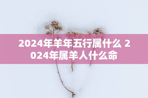 2024年羊年五行属什么 2024年属羊人什么命