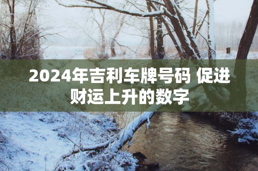 2025年吉利车牌号码 促进财运上升的数字