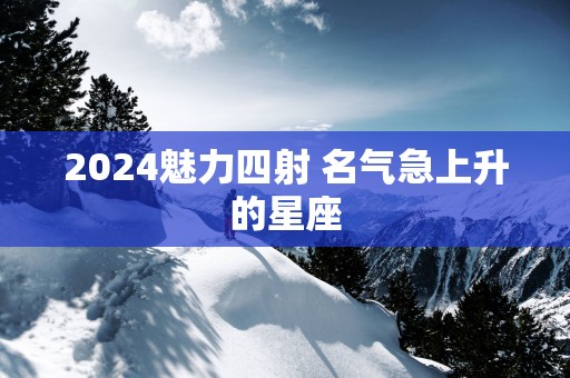 2025魅力四射 名气急上升的星座