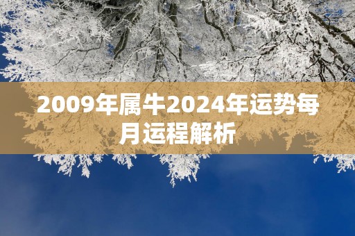 2009年属牛2025年运势每月运程解析