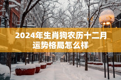 2025年生肖狗农历十二月运势格局怎么样