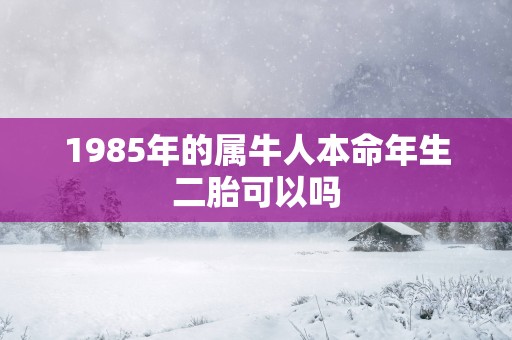 1985年的属牛人本命年生二胎可以吗