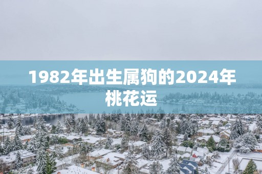 1982年出生属狗的2025年桃花运