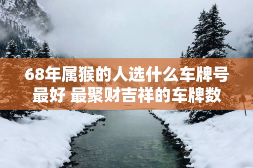 68年属猴的人选什么车牌号最好 最聚财吉祥的车牌数字