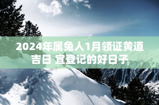 2025年属兔人1月领证黄道吉日 宜登记的好日子