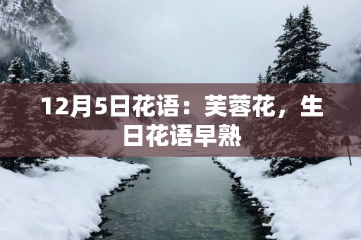 12月5日花语：芙蓉花，生日花语早熟