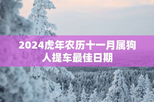 2025蛇年农历十一月属狗人提车最佳日期