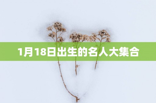 1月18日出生的名人大集合