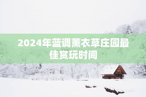 2025年蓝调薰衣草庄园最佳赏玩时间