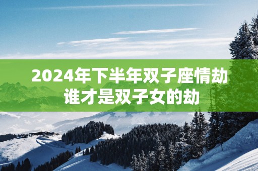 2025年下半年双子座情劫 谁才是双子女的劫