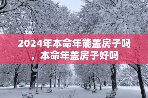 2025年本命年能盖房子吗，本命年盖房子好吗