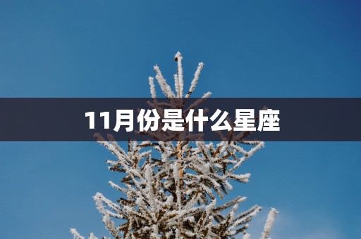 11月份是什么星座