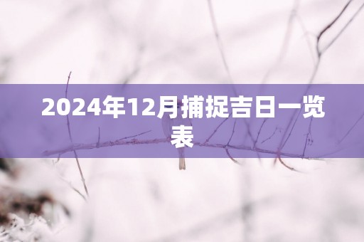 2025年12月捕捉吉日一览表