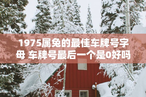 1975属兔的最佳车牌号字母 车牌号最后一个是0好吗
