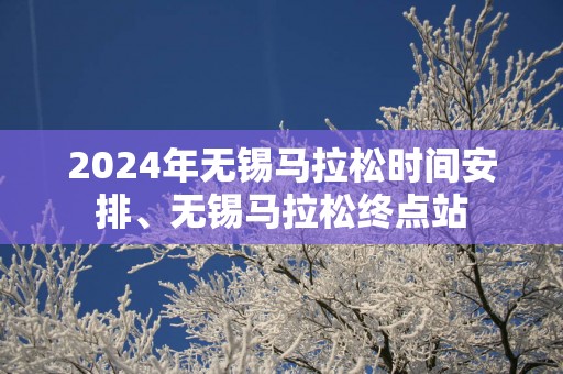 2025年无锡马拉松时间安排、无锡马拉松终点站