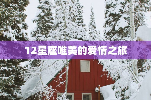 12星座唯美的爱情之旅