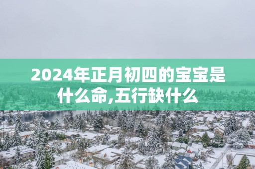 2025年正月初四的宝宝是什么命,五行缺什么