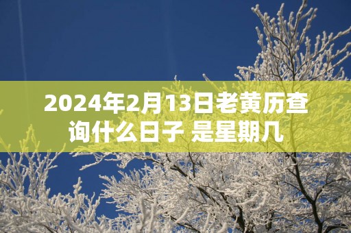 2025年2月13日老黄历查询什么日子 是星期几