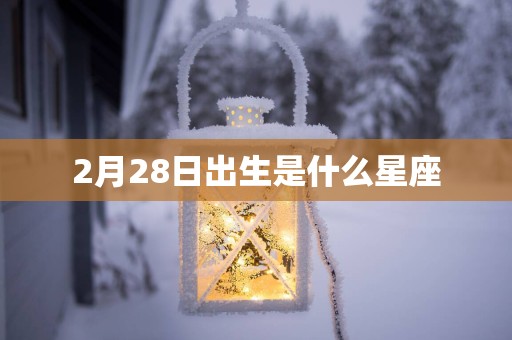 2月28日出生是什么星座