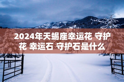 2025年天蝎座幸运花 守护花 幸运石 守护石是什么