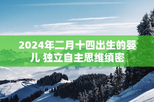 2025年二月十四出生的婴儿 独立自主思维缜密