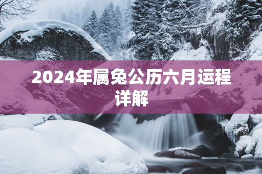 2025年属兔公历六月运程详解