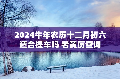 2025蛇年农历十二月初六适合提车吗 老黄历查询