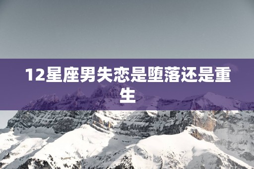 12星座男失恋是堕落还是重生