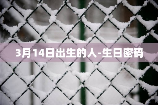 3月14日出生的人-生日密码