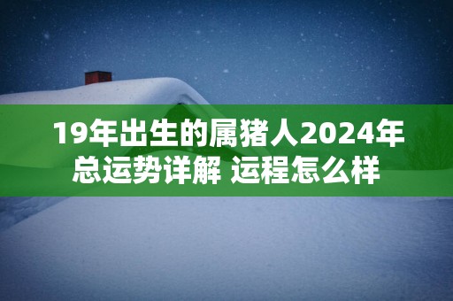 19年出生的属猪人2025年总运势详解 运程怎么样