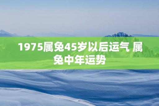 1975属兔45岁以后运气 属兔中年运势