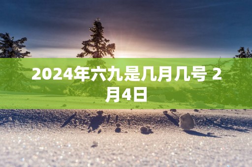 2025年六九是几月几号 2月4日