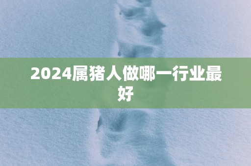 2025属猪人做哪一行业最好