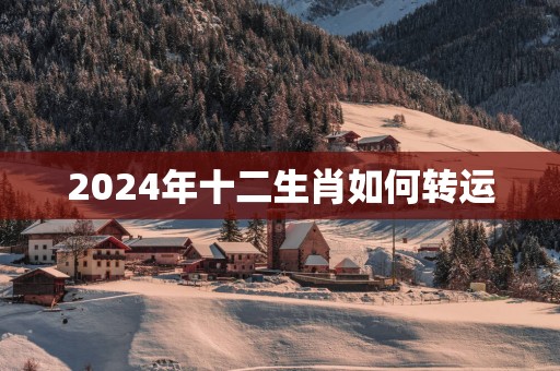 2025年十二生肖如何转运