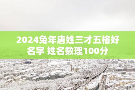 2025蛇年唐姓三才五格好名字 姓名数理100分