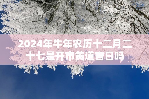 2025年蛇年农历十二月二十七是开市黄道吉日吗